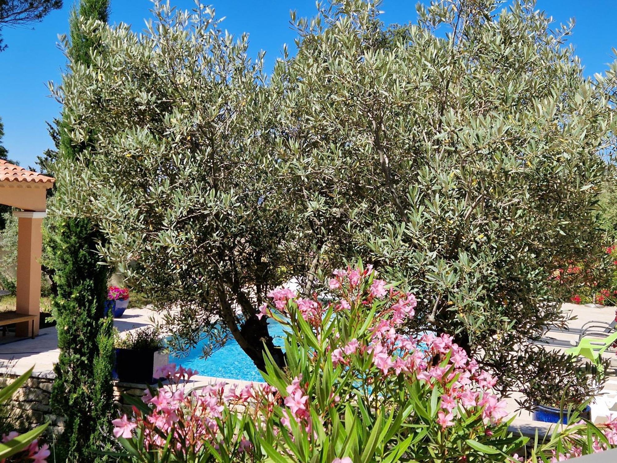 La Cigaliere Villa LʼIsle-sur-la-Sorgue Екстериор снимка